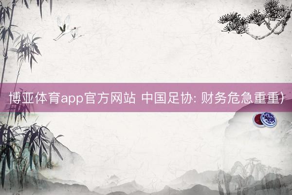 博亚体育app官方网站 中国足协: 财务危急重重)