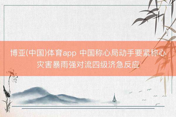 博亚(中国)体育app 中国称心局动手要紧称心灾害暴雨强对流四级济急反应
