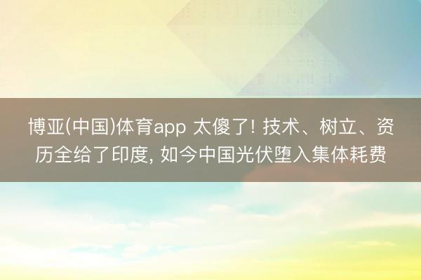 博亚(中国)体育app 太傻了! 技术、树立、资历全给了印度， 如今中国光伏堕入集体耗费
