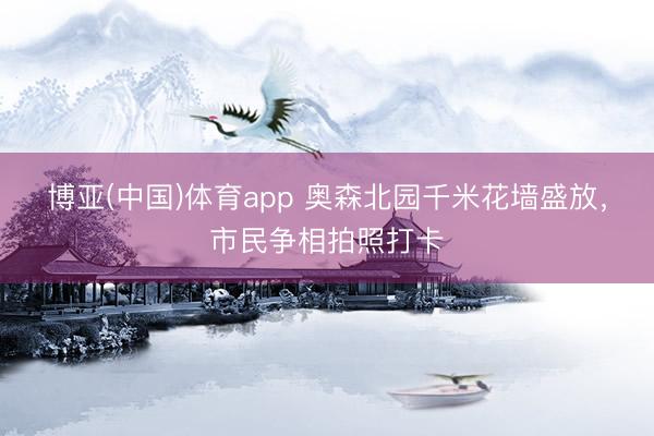 博亚(中国)体育app 奥森北园千米花墙盛放，市民争相拍照打卡