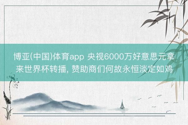 博亚(中国)体育app 央视6000万好意思元拿来世界杯转播， 赞助商们何故永恒淡定如鸡