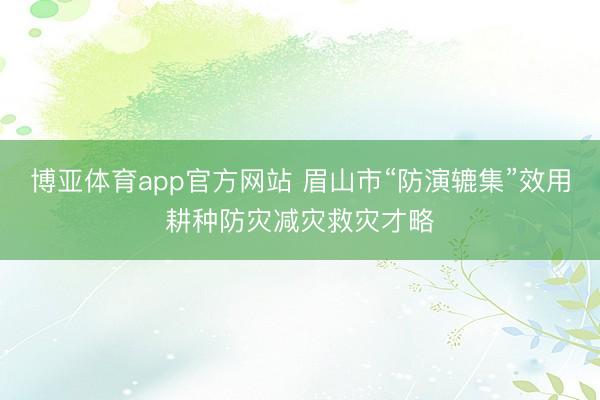 博亚体育app官方网站 眉山市“防演辘集”效用耕种防灾减灾救灾才略