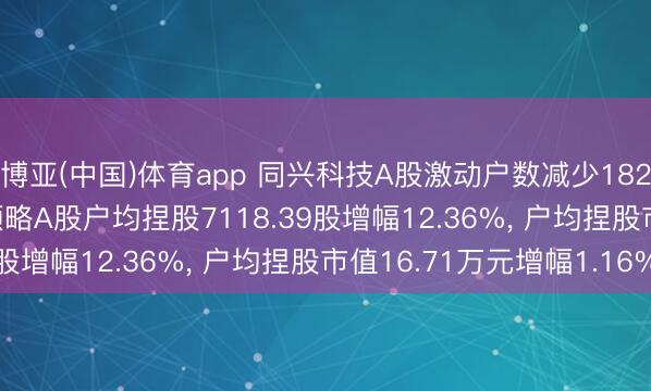 博亚(中国)体育app 同兴科技A股激动户数减少