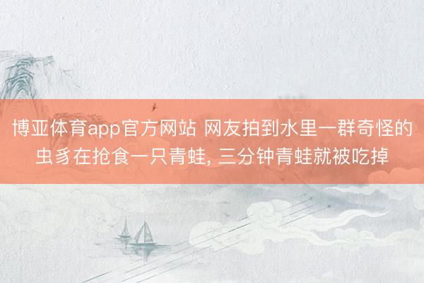 博亚体育app官方网站 网友拍到水里一群奇怪的虫豸在抢食一只青蛙， 三分钟青蛙就被吃掉