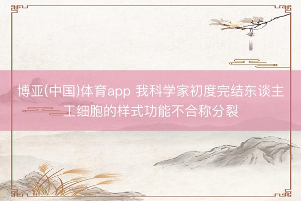 博亚(中国)体育app 我科学家初度完结东谈主工细胞的样式功能不合称分裂