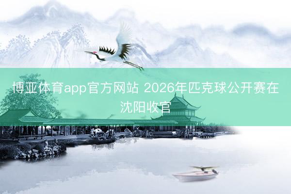 博亚体育app官方网站 2026年匹克球公开赛在沈阳收官