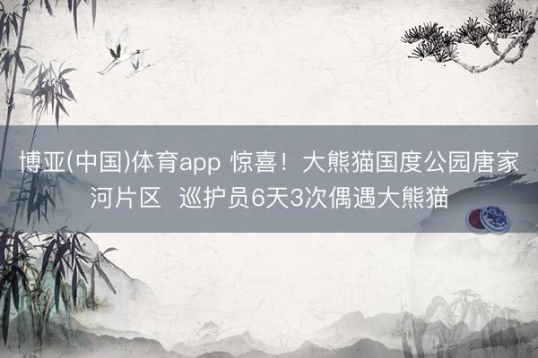 博亚(中国)体育app 惊喜!大熊猫国度公园唐家河片区 巡护员6天3次偶遇大熊猫